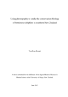 Using photography to study the conservation biology of bottlenose dolphins in southern New Zealand.