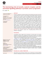 The intertwining roles of caveolin, oxytocin receptor, and the associated signalling pathways in prostate cancer progression