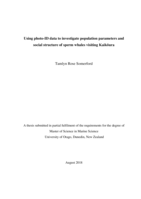 Using photo-ID data to investigate population parameters and social structure of sperm whales visiting Kaikōura