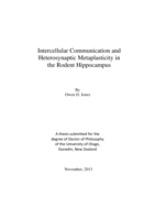 Intercellular Communication and Heterosynaptic Metaplasticity in the Rodent Hippocampus