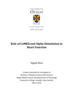 Role of CaMKII and Alpha Stimulation in Heart Function