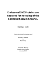 Endosomal SNX Proteins are Required for Recycling of the Epithelial Sodium Channel.