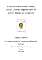 Exclusive enteral nutrition therapy reduces Clostridia flagellins within the Crohn’s disease gut microbiome