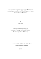 Liver Molecular Mechanisms Involved in Type 2 Diabetes: An Investigation Using Roux-en Y Gastric Bypass as a Human Model of Diabetes Remission