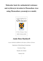 Molecular basis for antimalarial resistance and erythrocyte invasion in Plasmodim vivax using Plasmodium cynomolgi as a model.