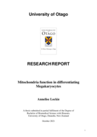 Mitochondria function in differentiating Megakaryocytes