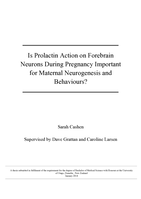 Is Prolactin Action on Forebrain Neurons During Pregnancy Important for Maternal Neurogenesis and Behaviours?