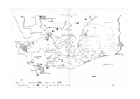 Fluorine values in the flora, fauna and water of the Bluff area