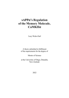 sAPPα’s Regulation of the Memory Molecule, CaMKIIα