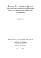 Predator-Prey Interactions Between Paranephrops zealandicus and Odonata Species in Semi-natural Aquaculture Environments