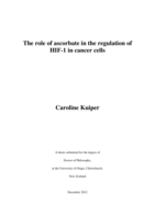 The role of ascorbate in the regulation of HIF-1 in cancer cells