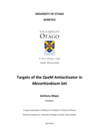 Targets of the QseM Antiactivator in Mesorhizobium loti