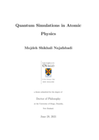 Quantum simulations in atomic physics
