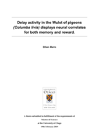 Delay activity in the Wulst of pigeons (Columba livia) displays neural correlates for both memory and reward.