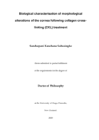 Biological characterisation of morphological alterations of the cornea following collagen cross-linking (CXL) treatment