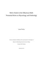 Nitric Oxide in the Olfactory Bulb: Potential Roles in Physiology and Pathology