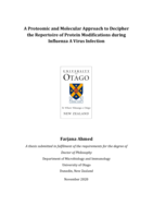 A proteomic and molecular approach to decipher the repertoire of protein modifications during influenza A virus infection