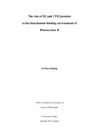 The role of D2 and CP43 proteins in the bicarbonate-binding environment of Photosystem II