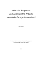 Molecular Adaptation Mechanisms in the Antarctic Nematode Panagrolaimus davidi