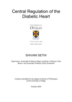 Central Regulation of the Diabetic Heart