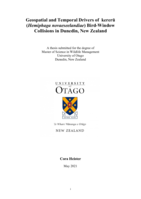 Geospatial and Temporal Drivers of kererū (Hemiphaga novaeseelandiae) Bird-Window Collisions in Dunedin, New Zealand