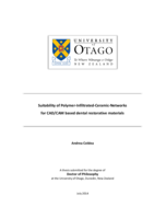 Suitability of Polymer-Infiltrated-Ceramic-Networks for CAD/CAM based dental restorative materials