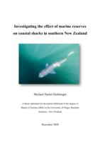 Investigating the effect of marine reserves on coastal sharks in southern New Zealand