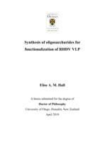 Synthesis of oligosaccharides for functionalization of RHDV VLP