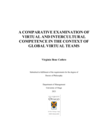 A comparative examination of virtual and intercultural competence in the context of global virtual teams