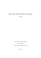 Heterotrophic Bacterial Biofilms of Macroalgae