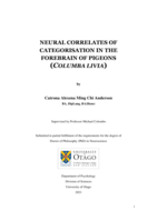 Neural correlates of categorisation in the forebrain of pigeons (Columba Livia)