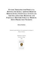 Future Therapies for Perinatal Hypoxia-Ischemia: Adipose-Derived Mesenchymal Stem Cells  Attenuate the Inflammatory Response and Partially Restore Striatal Medium-Spiny Projection Neurons