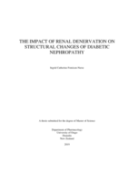 The Impact of Renal Denervation on Structural Changes of Diabetic Nephropathy