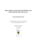 Myocardial Infarction Size Modulates Sympathetic Nerve Activity