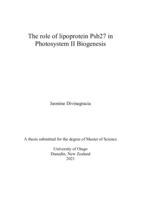 The role of lipoprotein Psb27 in Photosystem II biogenesis