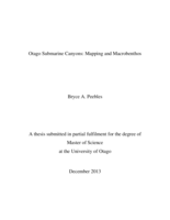 Otago Submarine Canyons: Mapping and Macrobenthos