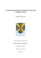 A Computational Model of Transduction Cells in the Vestibular System