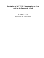 Regulation of DEPTOR Ubiquitination by Uric Acid in the Pancreatic β-Cell