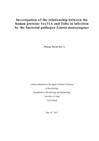 Investigation of the relationship between the human proteins Sec31A and Tuba in infection by the bacterial pathogen Listeria monocytogenes.