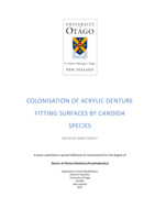 Colonisation of acrylic denture fitting surfaces by Candida species