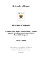 Characterising the key gene regulatory regions required for whole-body regeneration in Botrylloides diegensis.