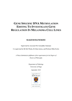 Gene specific DNA methylation editing to investigate gene regulation in melanoma cell lines