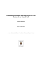 Computational Modelling of Synaptic Plasticity in the  Dentate Gyrus Granule Cell
