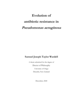 Evolution of antibiotic resistance in Pseudomonas aeruginosa