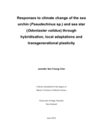 Responses to climate change of the sea urchin (Pseudechinus sp.) and sea star (Odontaster validus) through hybridisation, local adaptations and transgenerational plasticity