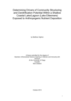 Determining Drivers of Community Structuring and Denitrification Potential Within a Shallow Coastal Lake/Lagoon (Lake Ellesmere) Exposed to Anthropogenic Nutrient Deposition