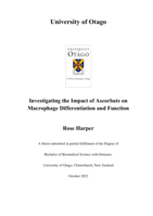 Investigating the Impact of Ascorbate on Macrophage Differentiation and Function