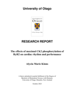 The effects of maximal CK2 phosphorylation of RyR2 on cardiac rhythm and performance