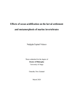 Effects of ocean acidification on the larval settlement and metamorphosis of marine invertebrates