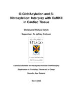 O-GlcNAcylation and S-Nitrosylation: Interplay with CaMKII in cardiac tissue